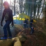 Forest School Walking Across Log