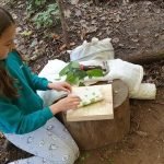 Hapa Zome Forest Forest School Bushcraft